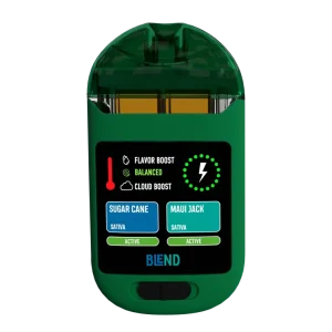 smoothie bar dual disposable