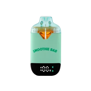 SMOOTHIE BAR BLEND 2.0 GELATO 41 X FRITTER MINTZ 2G DISPOSABLE